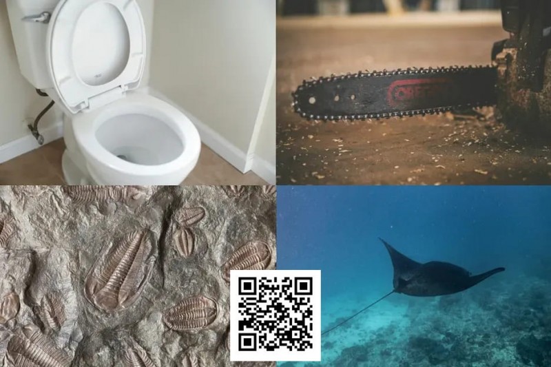 【EPCP扑克】扑克界谁的绰号最炸裂：电锯、魔鬼鱼、石化人、马桶？