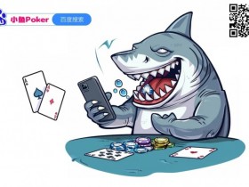 【EPCP扑克】小鱼Poker人性化功能介绍,让游戏更丝滑!