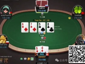 【EPCP扑克】牌局分析:转牌raise多大?