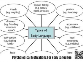 【EPCP扑克】《卡罗的马脚大全》精华内容总结,一篇文章读懂一本书!